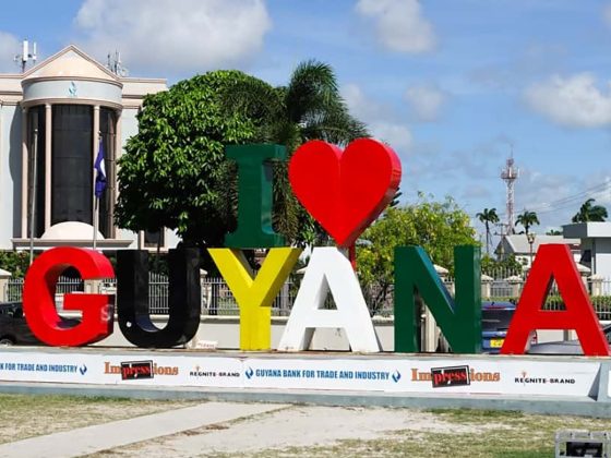 Working in Guyana: Best Industries & Job Opportunities